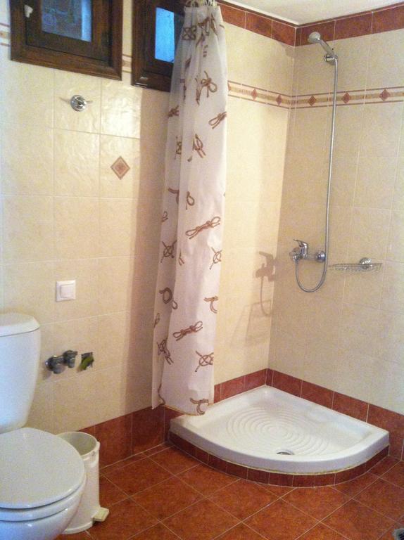 Melenio Studios Livadi  Room photo